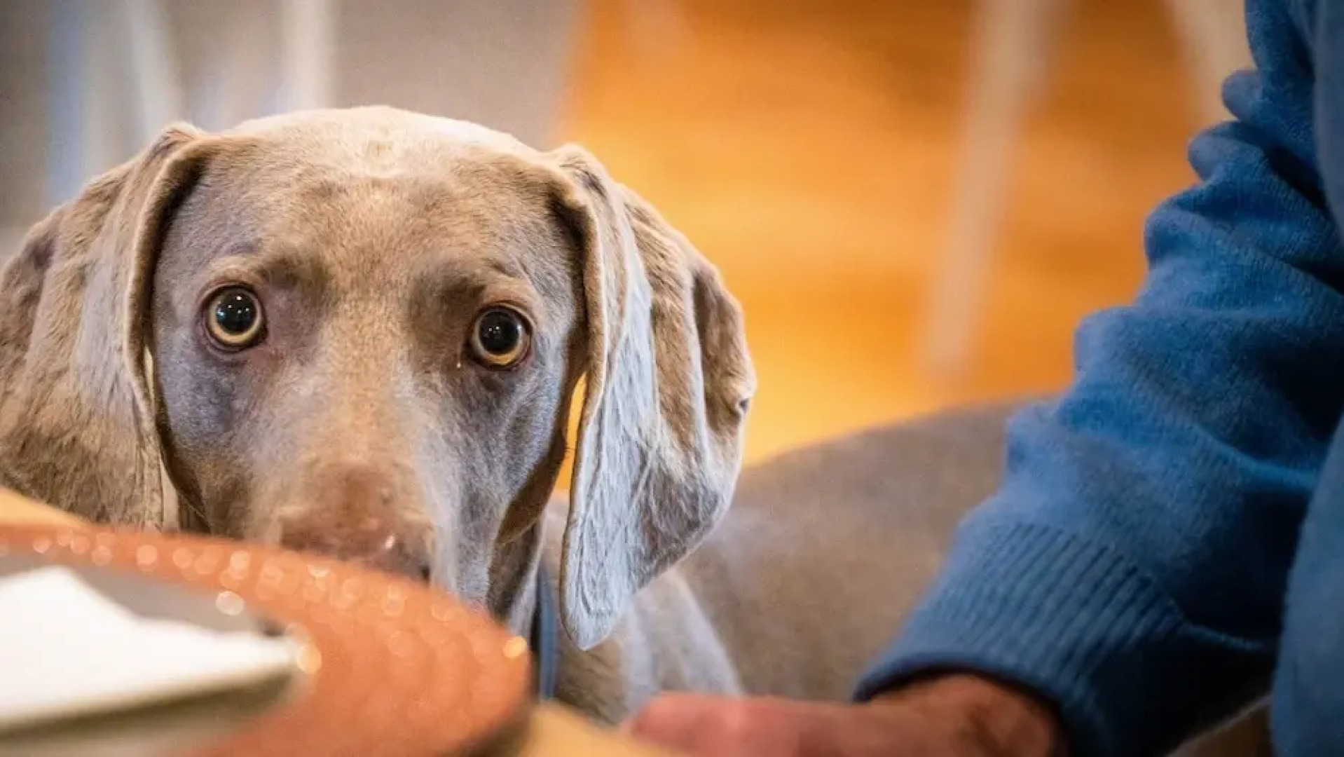 The Farmhouse at Fincham