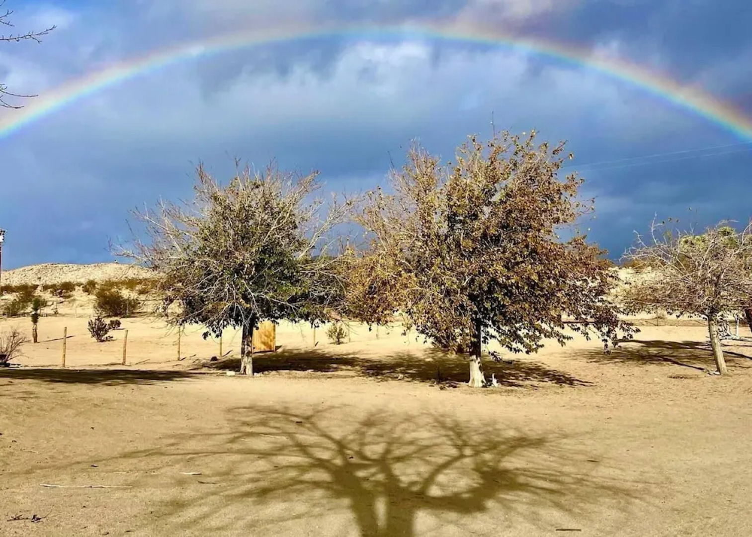 Desert WAY Ranch Oasis Hideaway