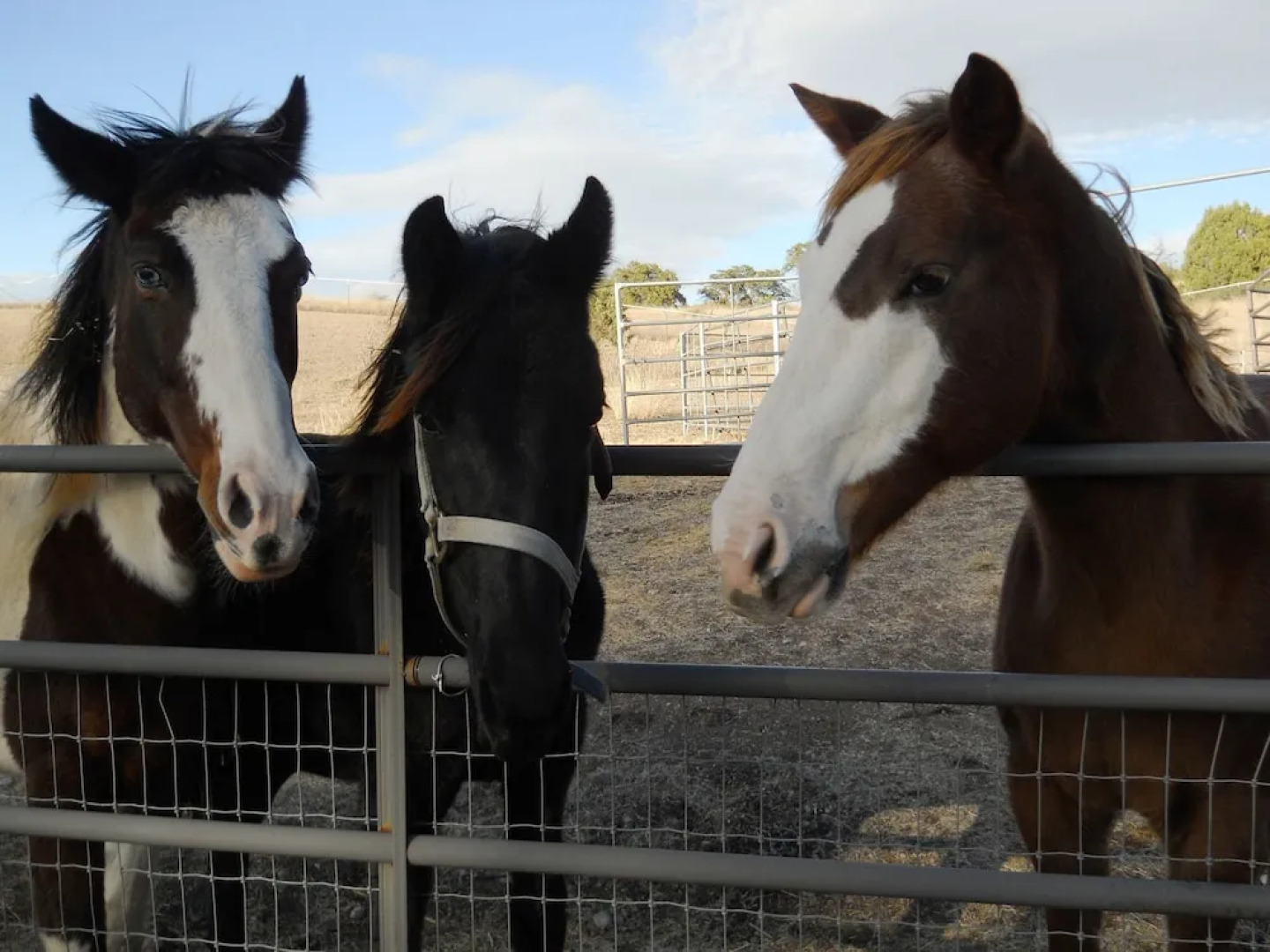 Whisper's Ranch B & B
