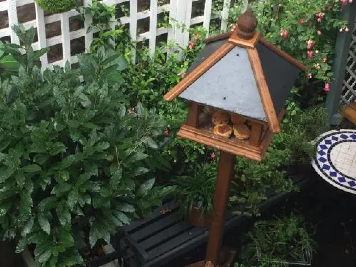 The Captains Quarters