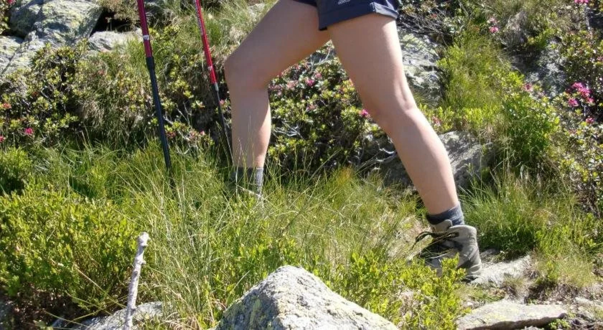 Gasthof Pension - Café Konditorei Hassler