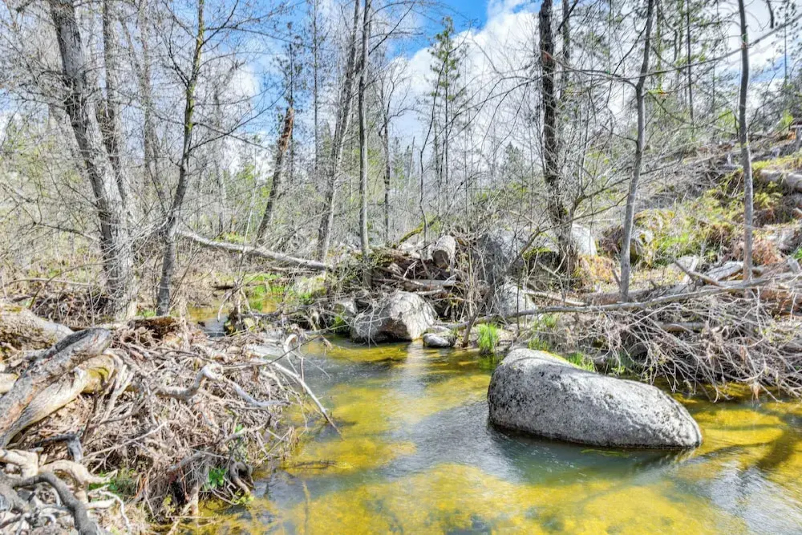 Waterfront Mariposa Hideaway: Hot Tub & Mtn Views!