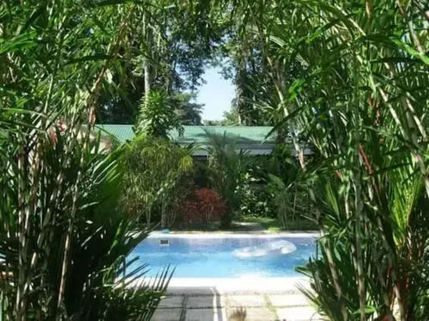 VIP Hotel Playa Negra