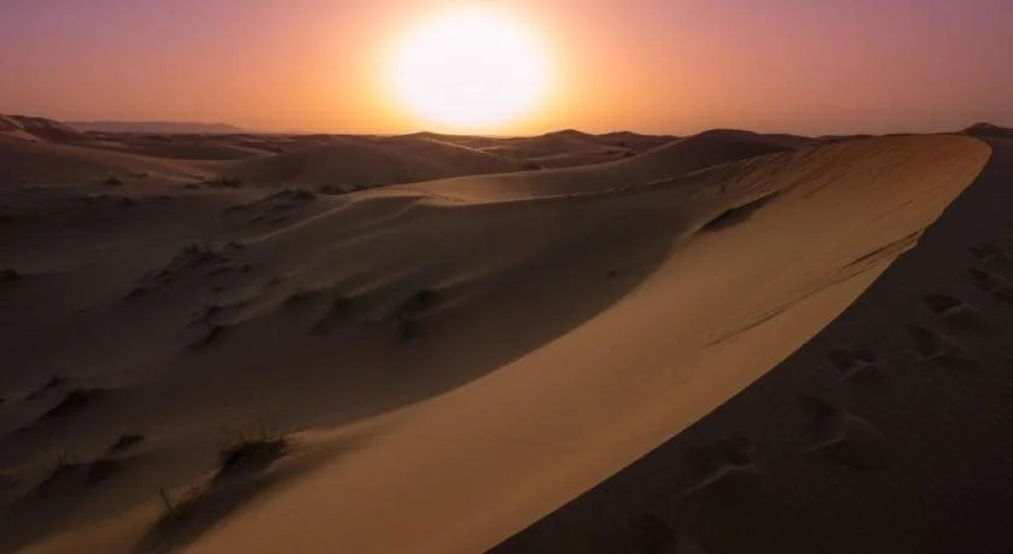 Ali & Sara's Desert Palace