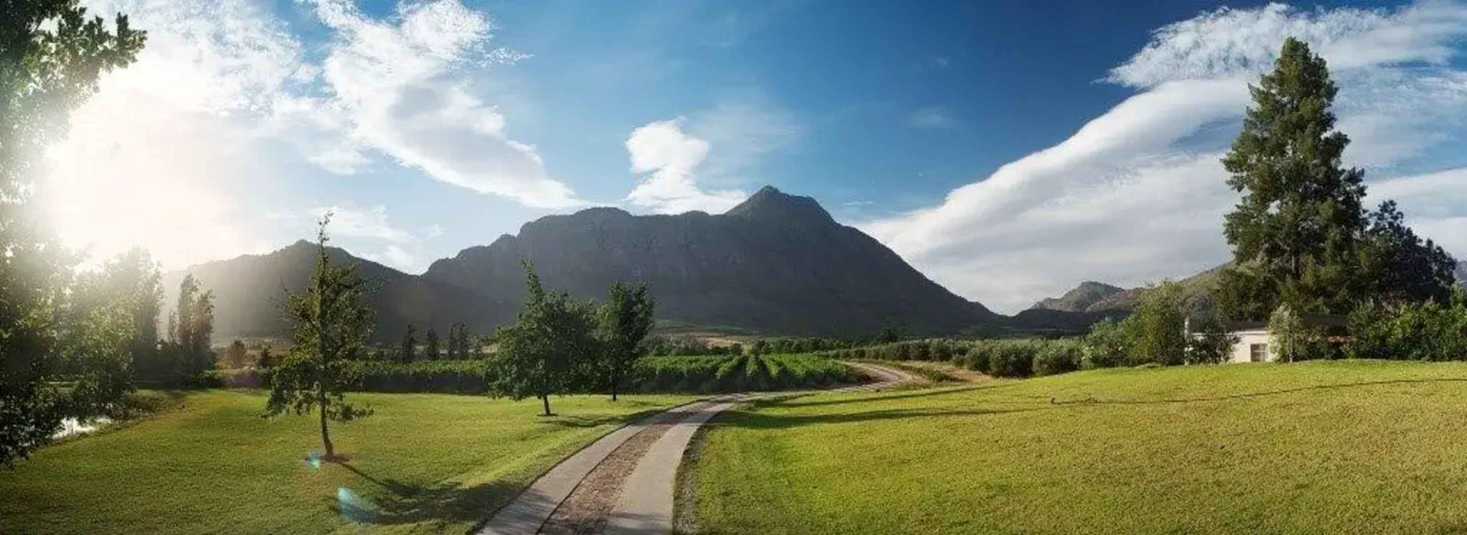 Saronsberg Vineyard Cottages