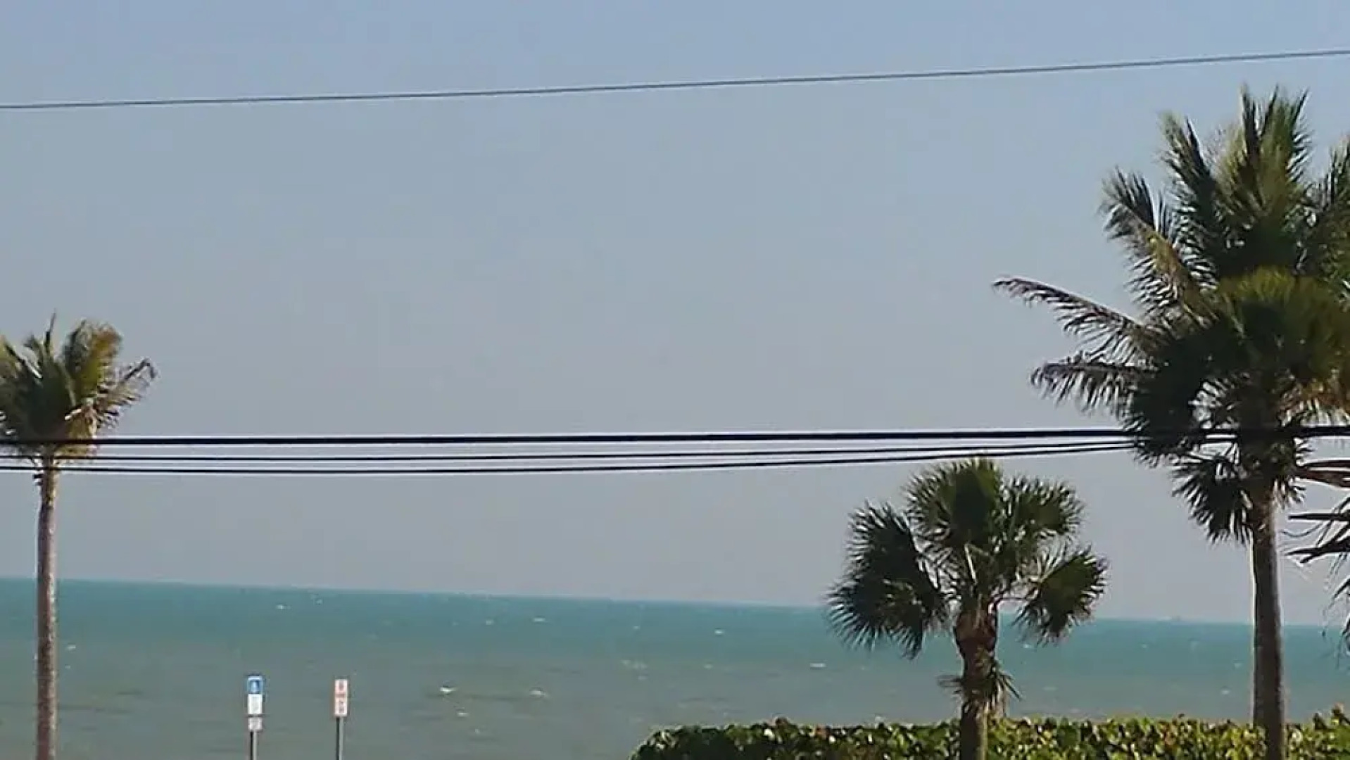 Blue Starfish Estate by MNM