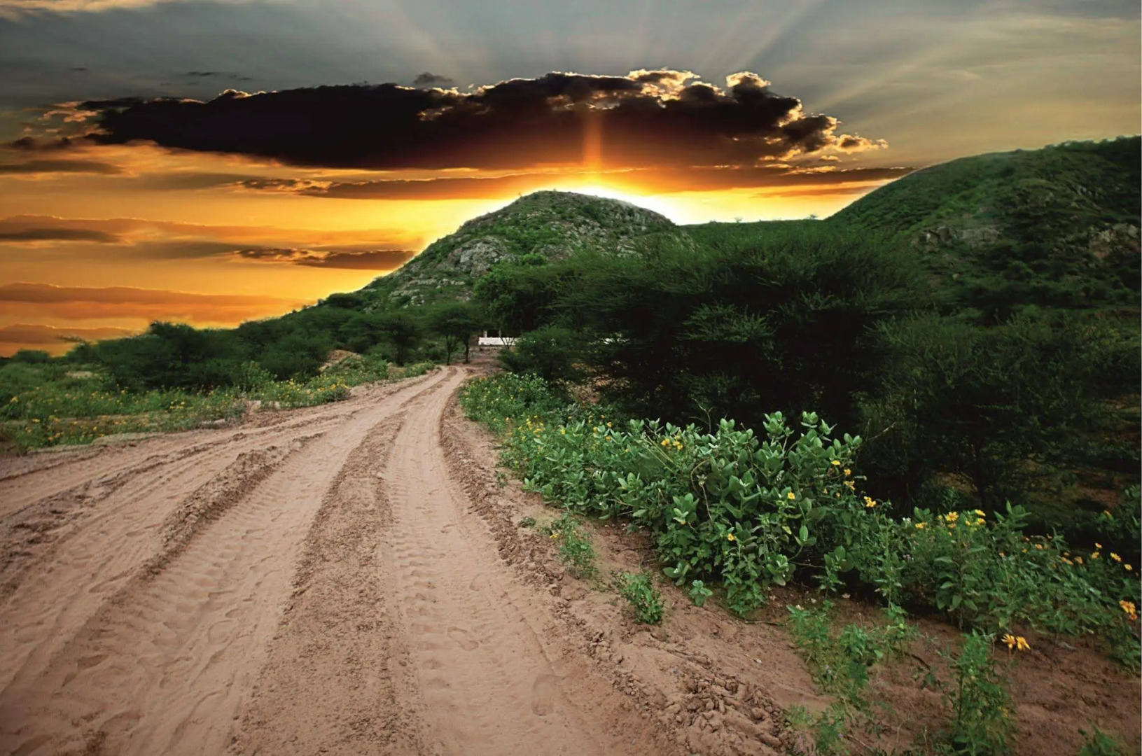 Treehouse Sunrise Resort Neemrana