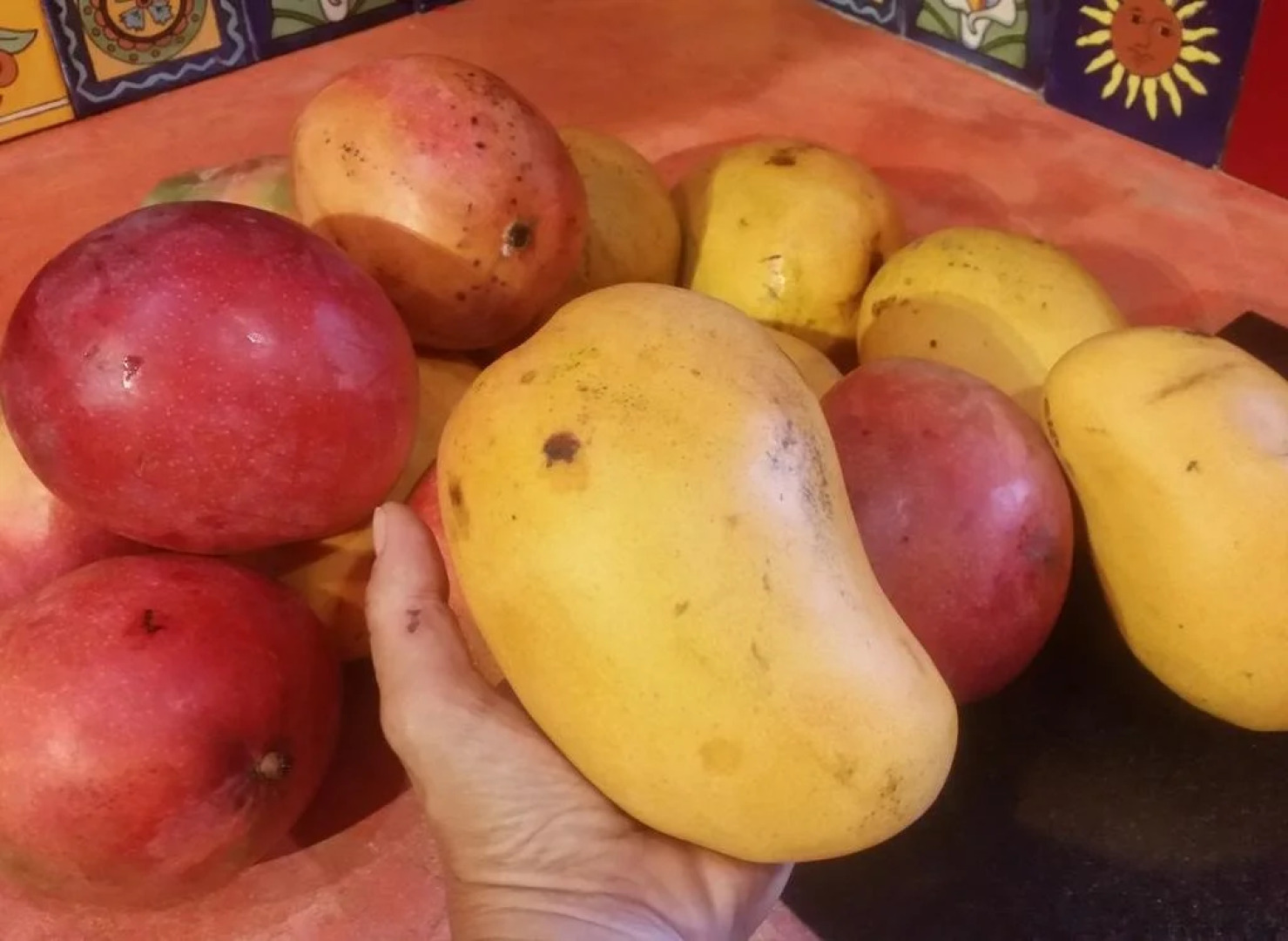 Casa Axis Mundi Raw and Vegan B&B