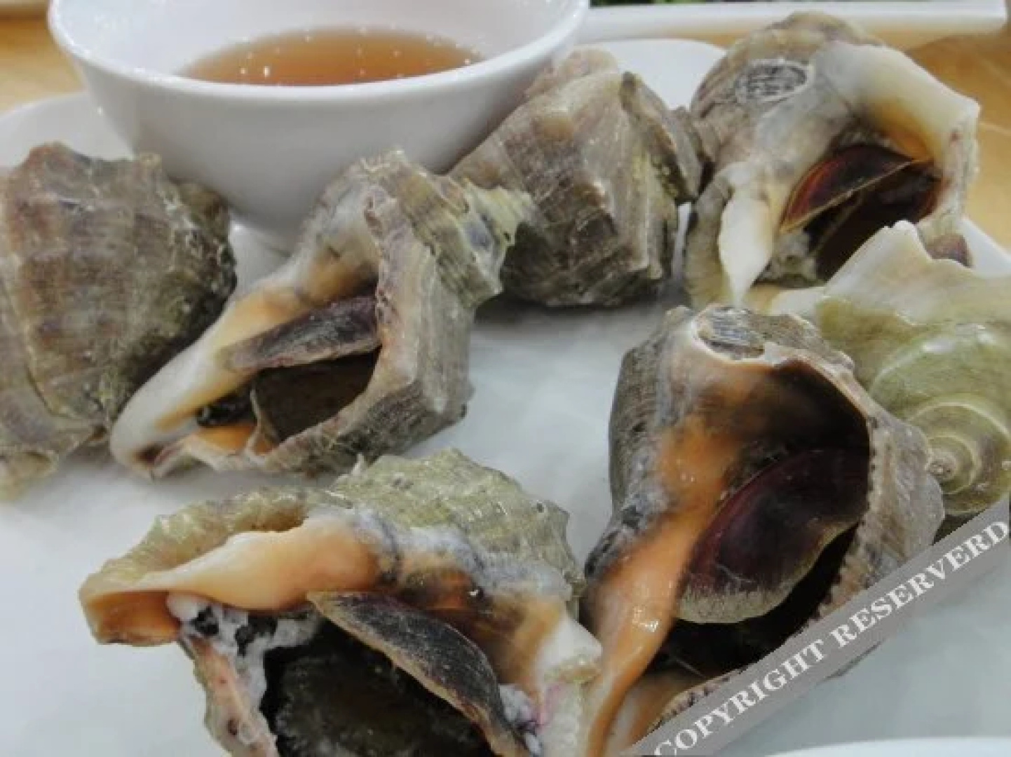 Penglai March antique fishing Inn