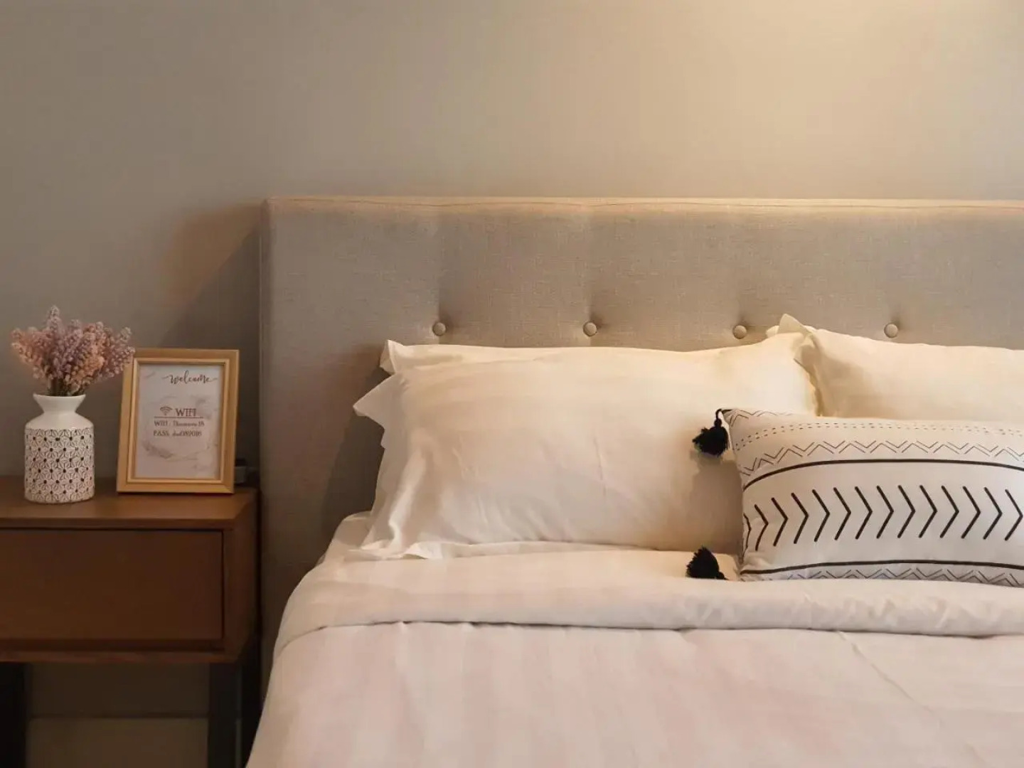 Aeropod Studio- Laxzone Suite