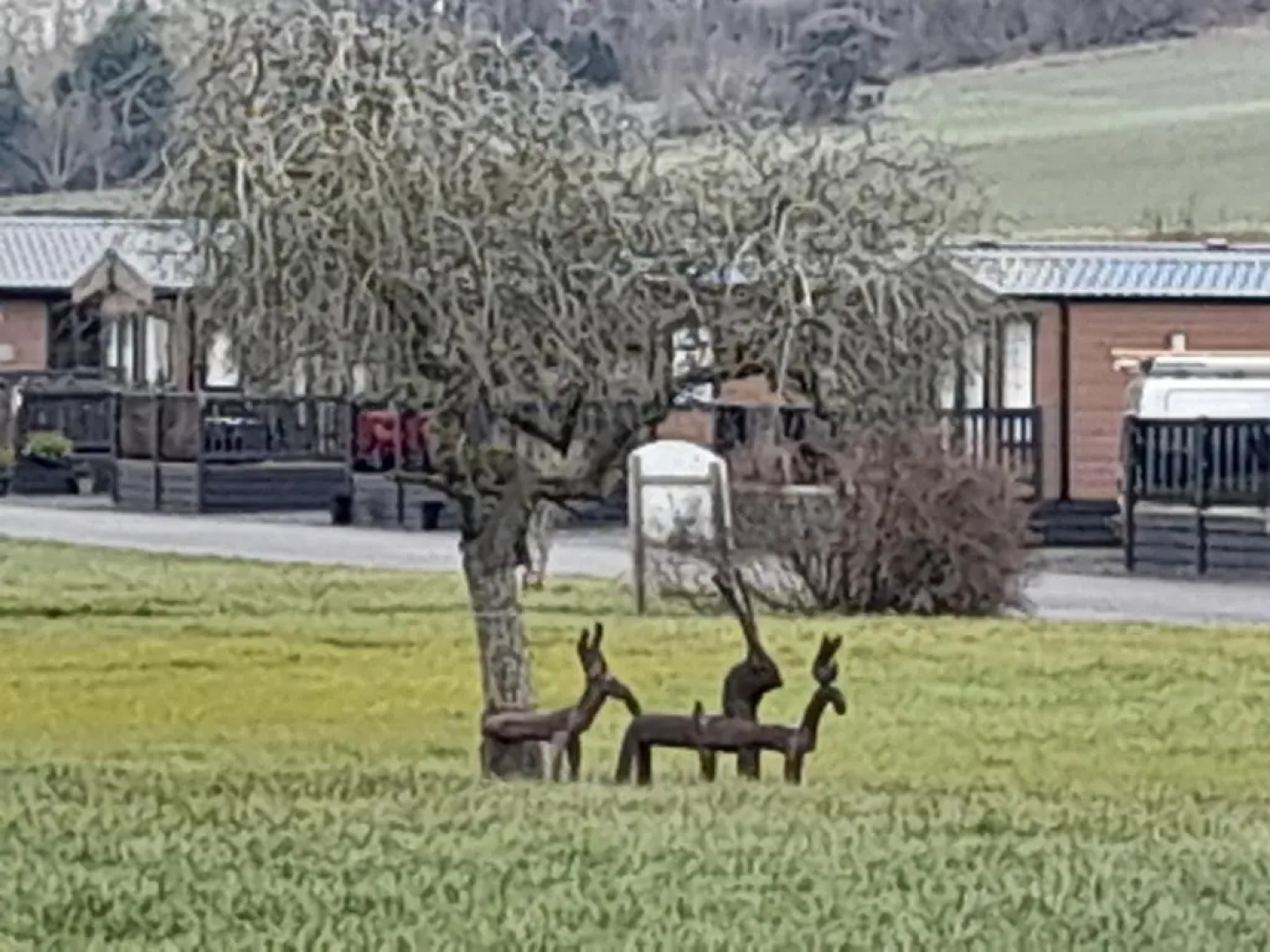 12A Beautiful Lodge Home For Hire 2 Bedrooms