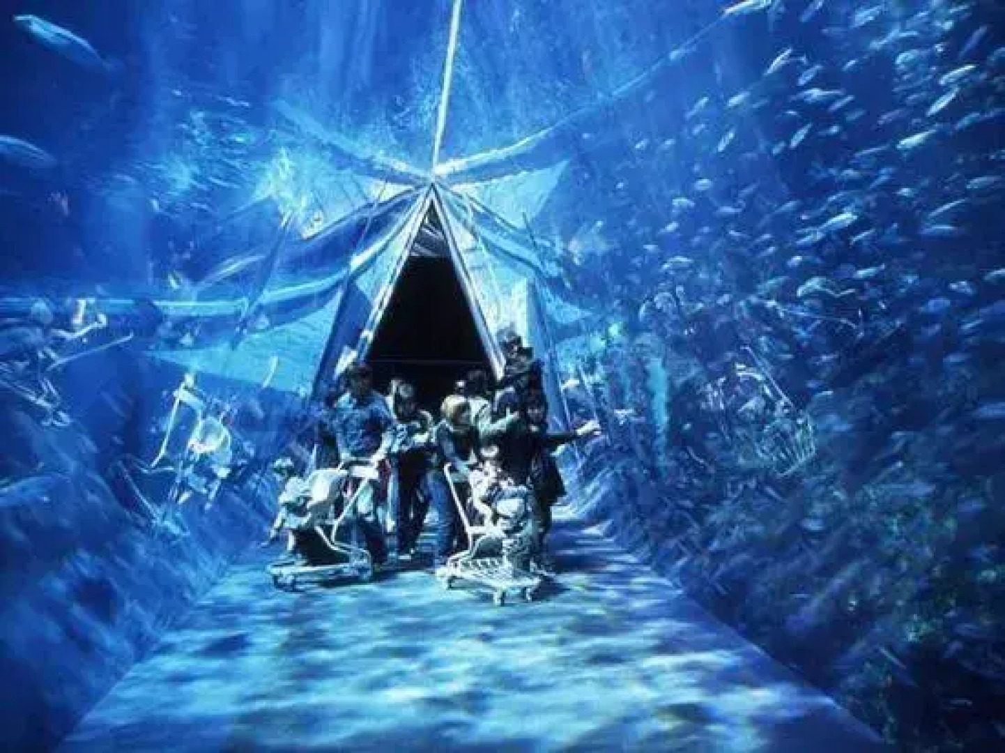 Ujo no Yado Shintsuta