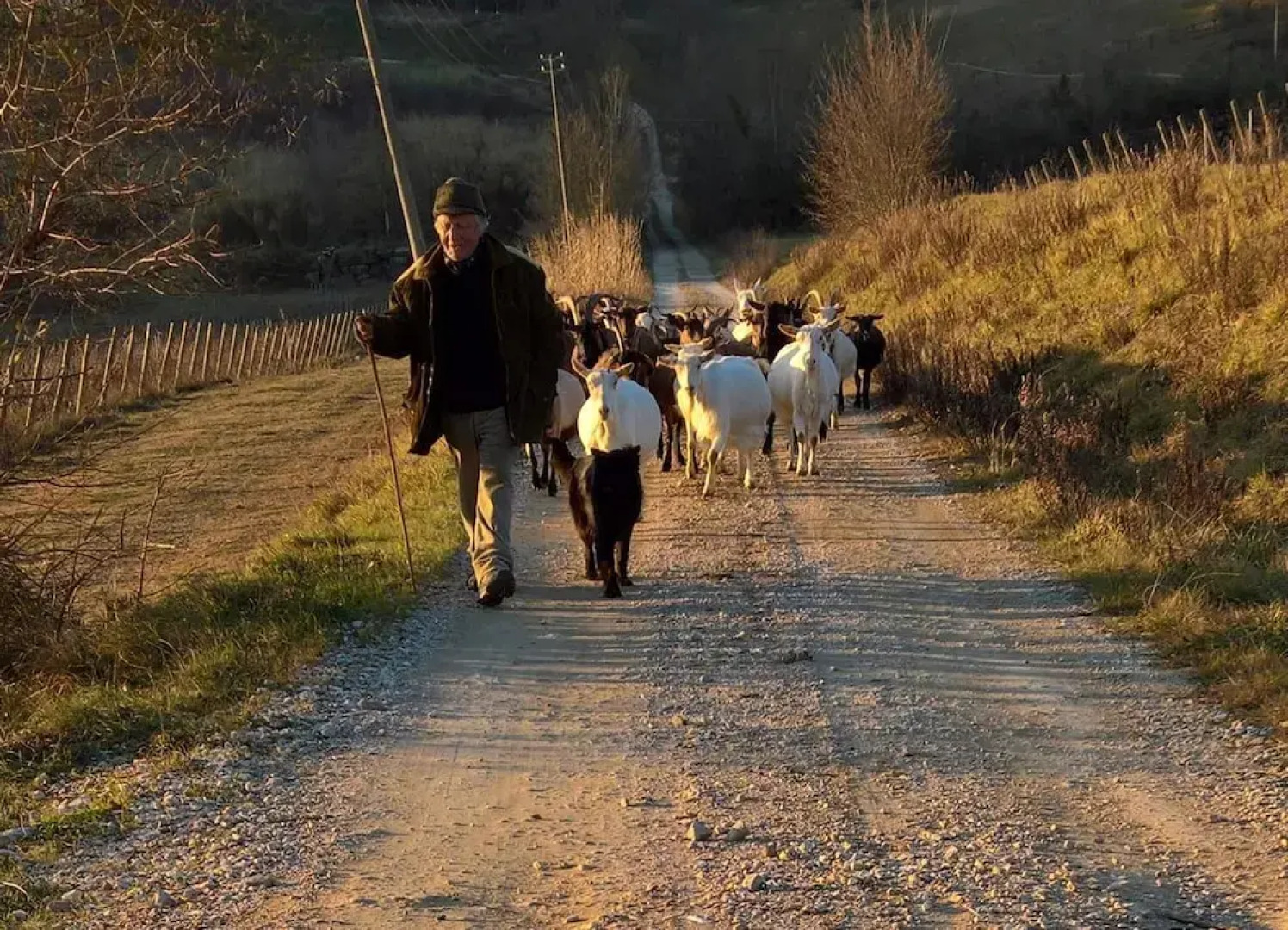 Azienda Agricola I Colli di Marliano