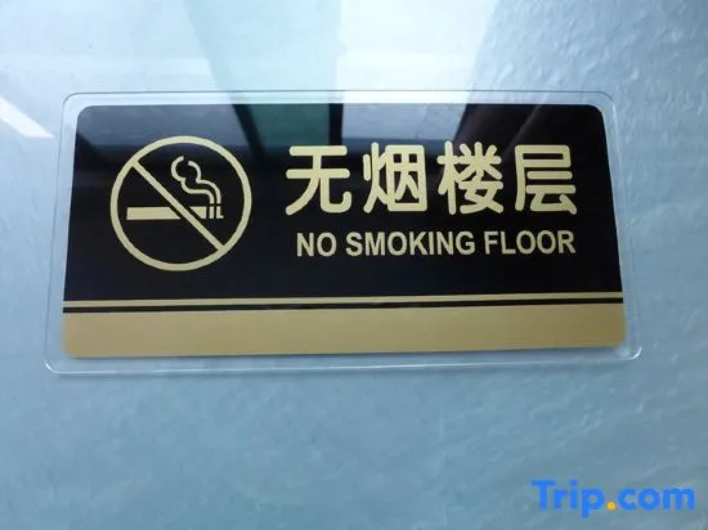 Wutong Hot Spring Hotel