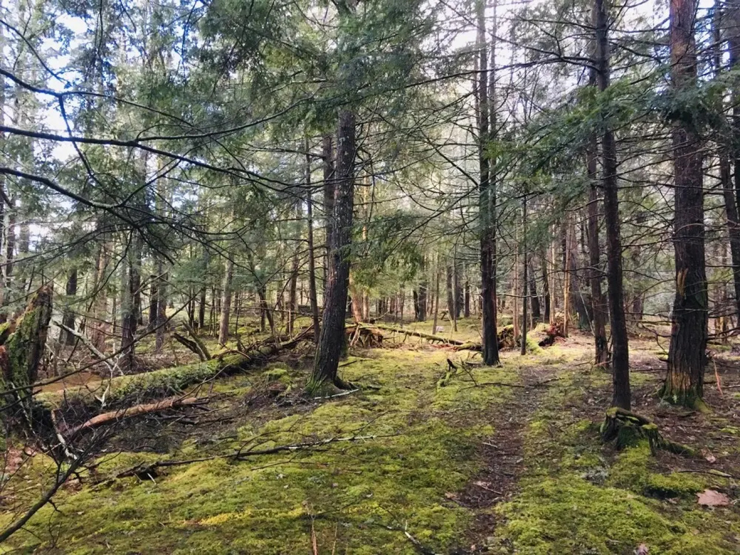 The Inn on Lake Champlain