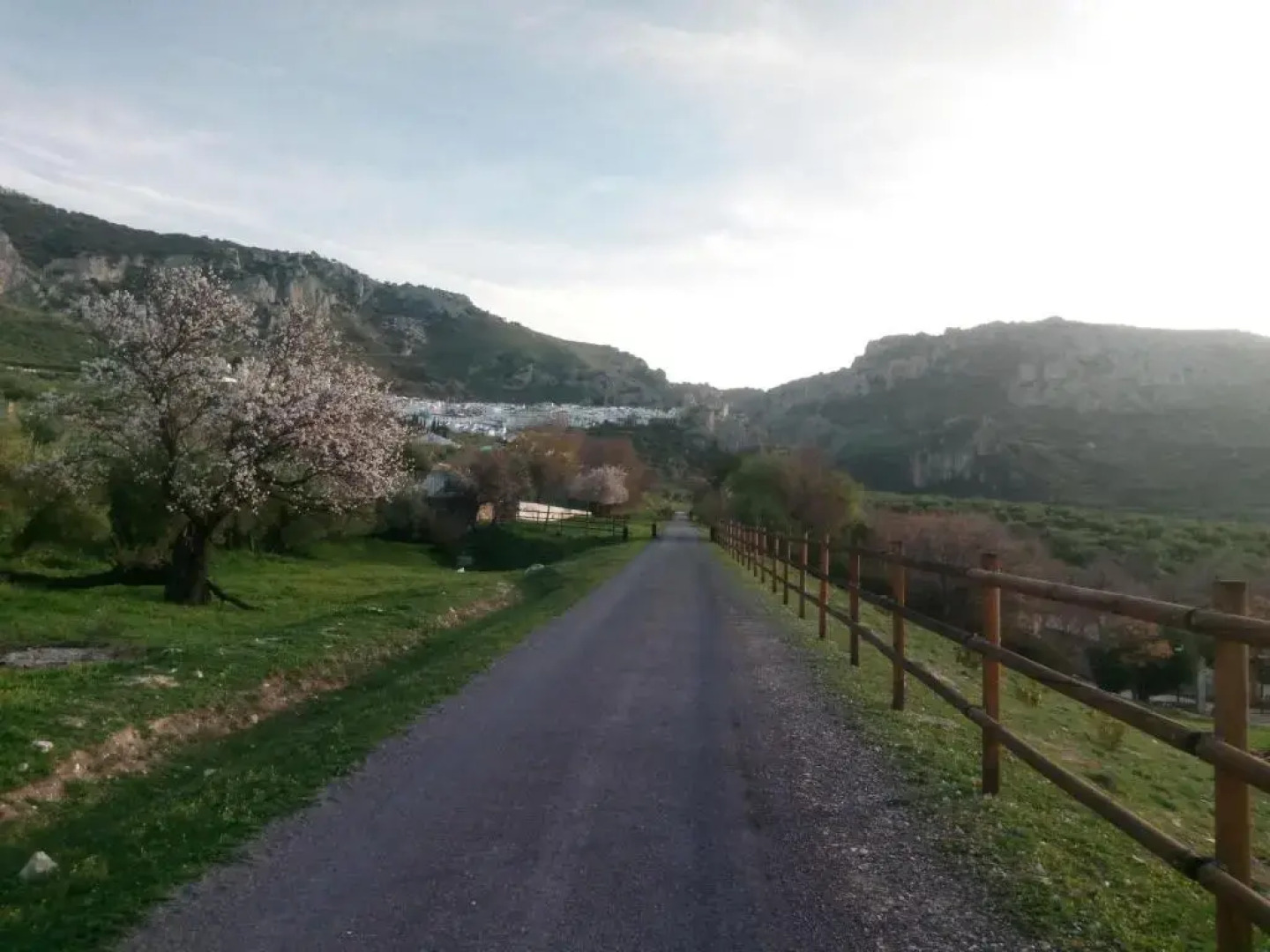 El Hechizo Del Bailón