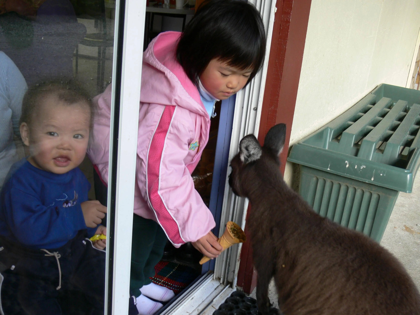 Fauna Australia Wildlife Retreat