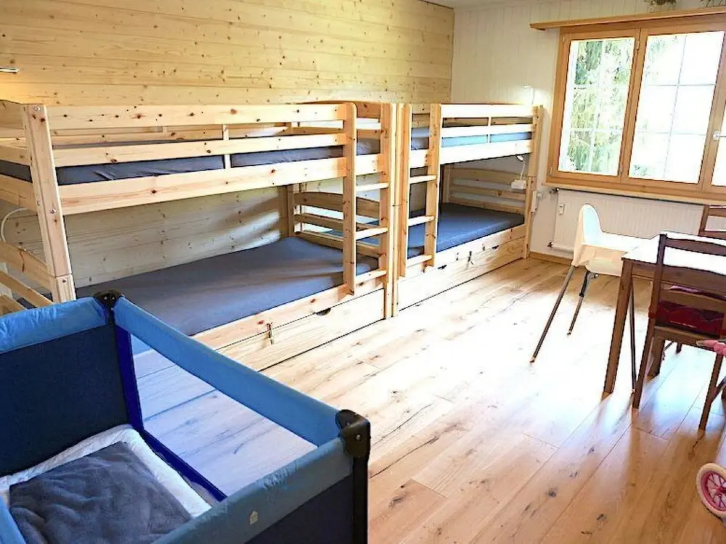 Rinderblick Zweisimmen