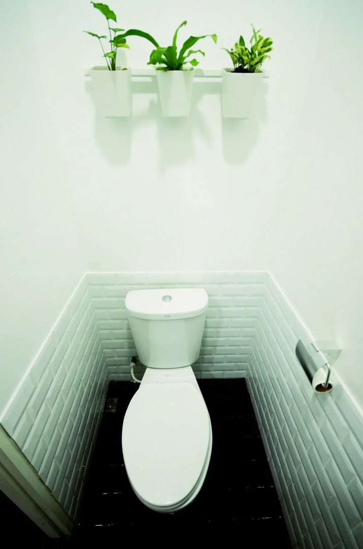 Early Bird Hostel Ayutthaya