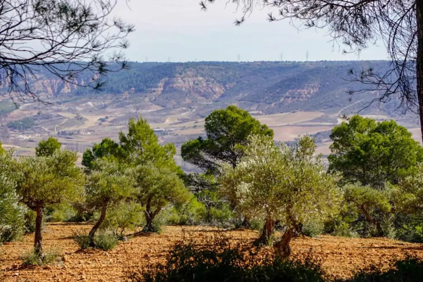 De Felipe Casa Rural