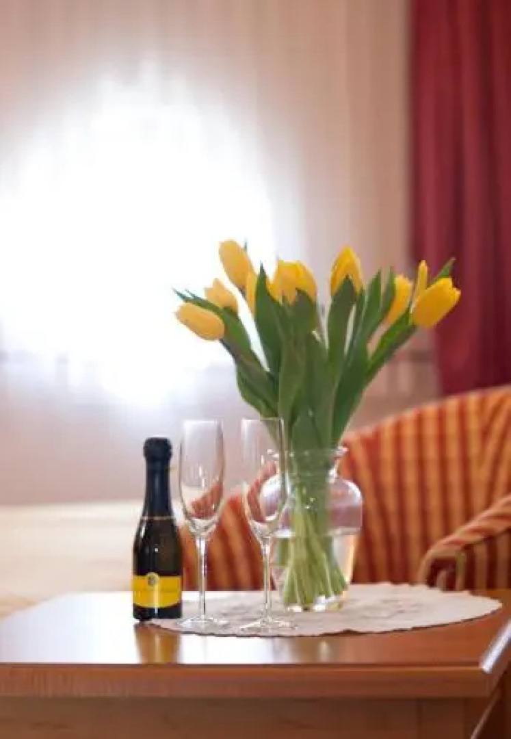 Guesthouse Tulipan