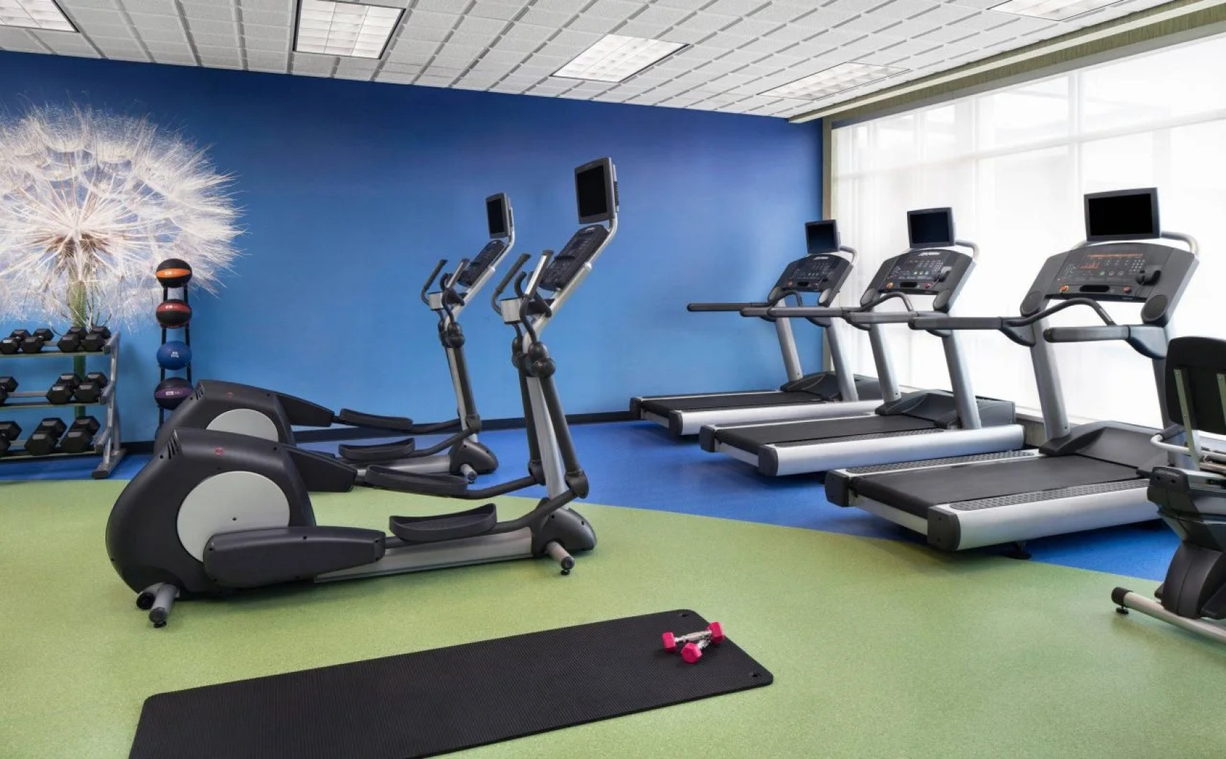 SpringHill Suites by Marriott Midland Odessa