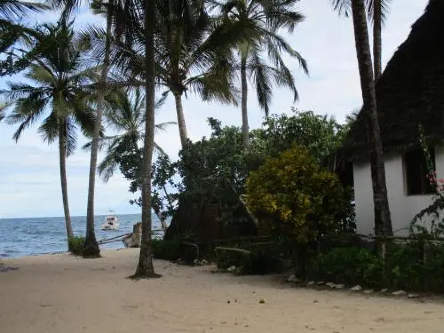 Drifters Beach Banda