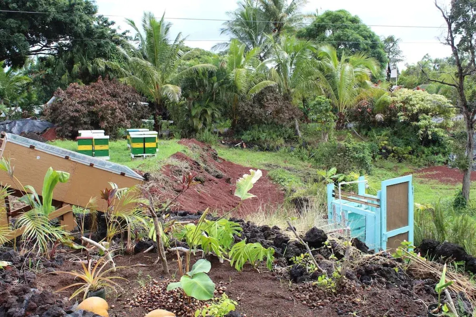 Sweet Spot Stay - Tikis and Treetops