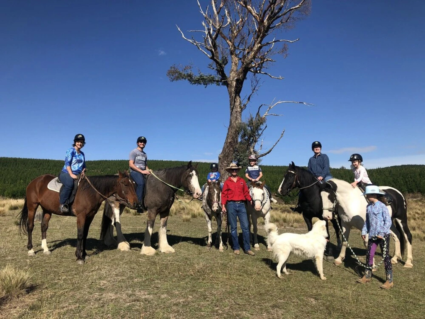 High Country Trail Rides & Farm Stay