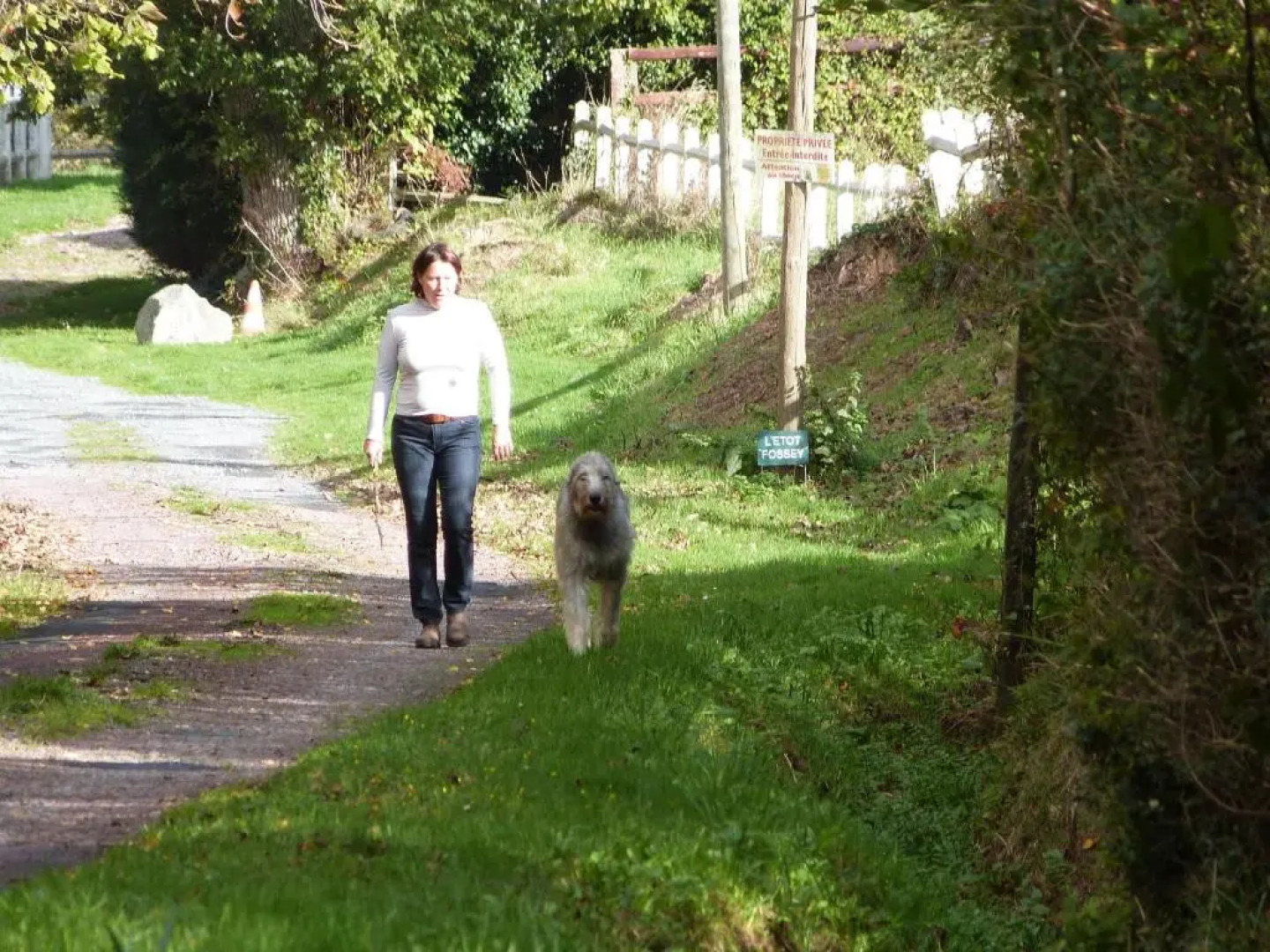 Gîte De L'Etot Fossey