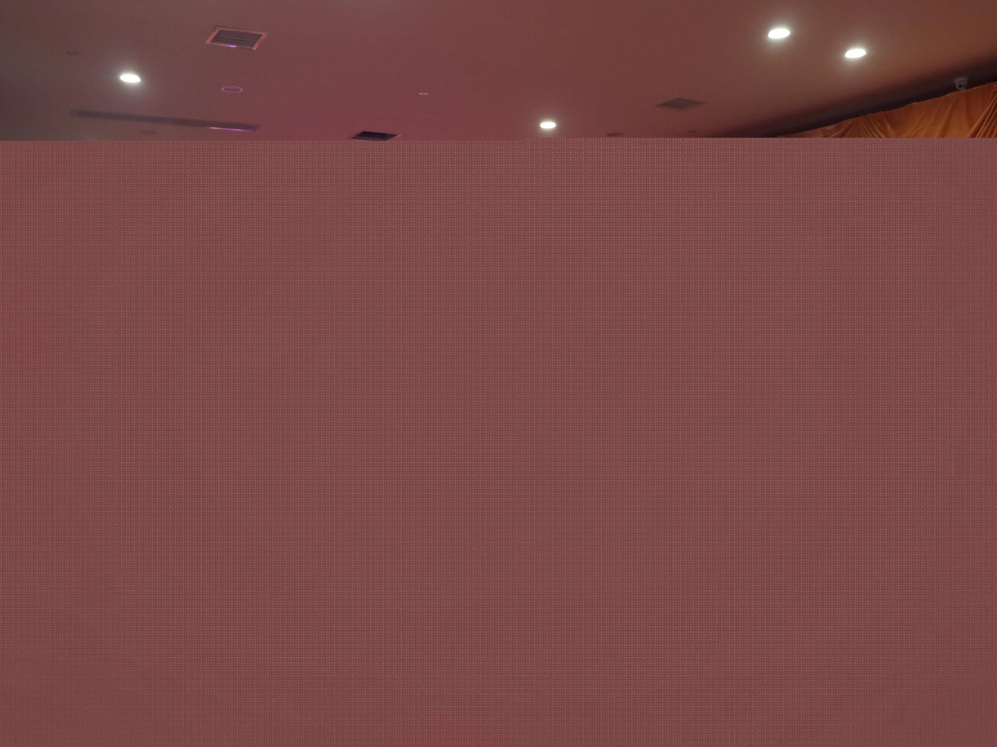 The Grand Plaza Hotel