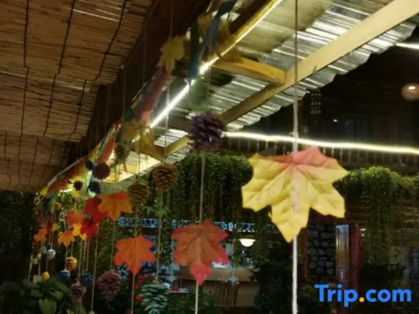 Qiuniang House Lugu Lake