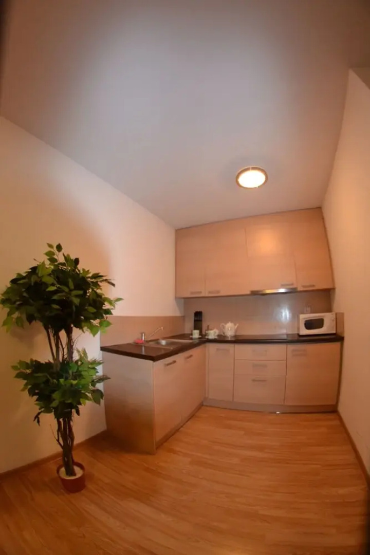 Apartament City Center Exclusive Suite