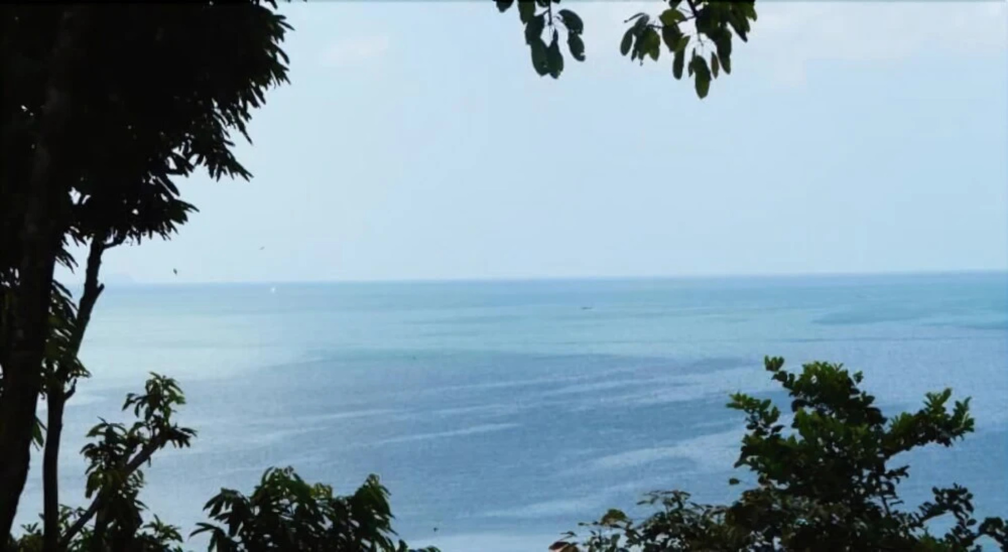 Good Morning Bungalow