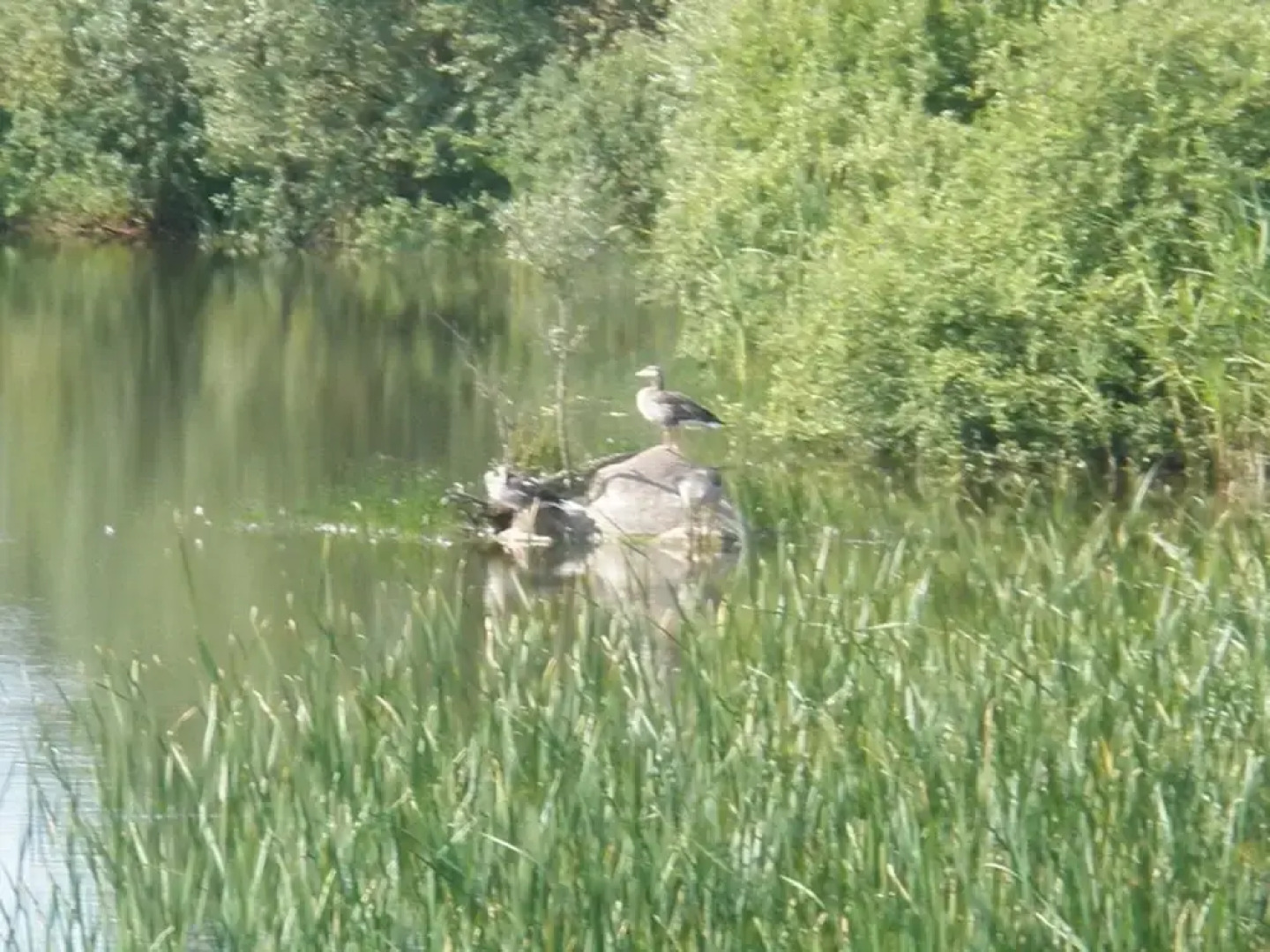 Pleasant Holiday Home Near Town Center