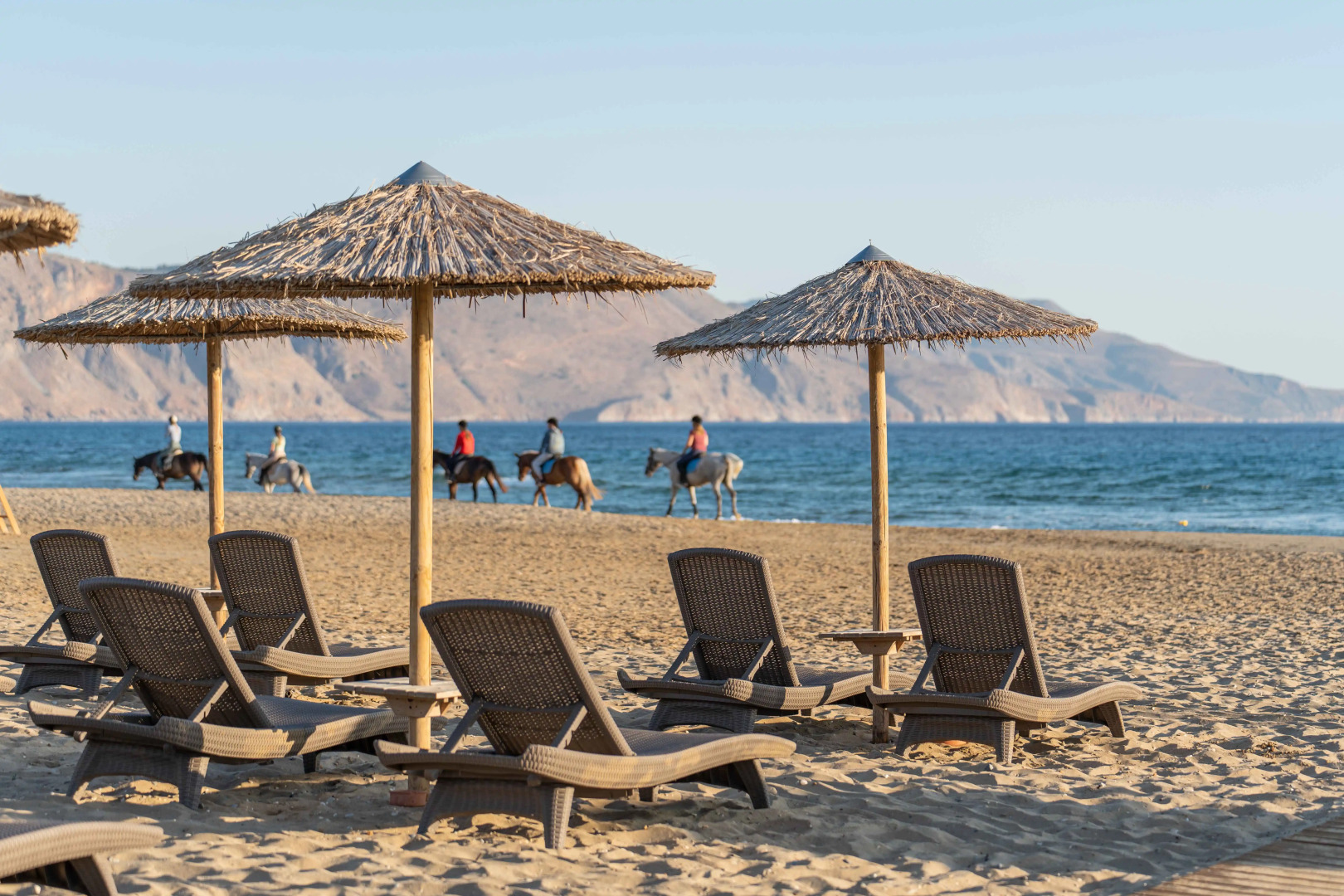 Delfina Tropic Beach