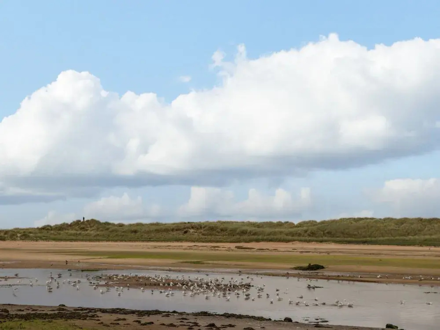 Lossiemouth Bay Cottage