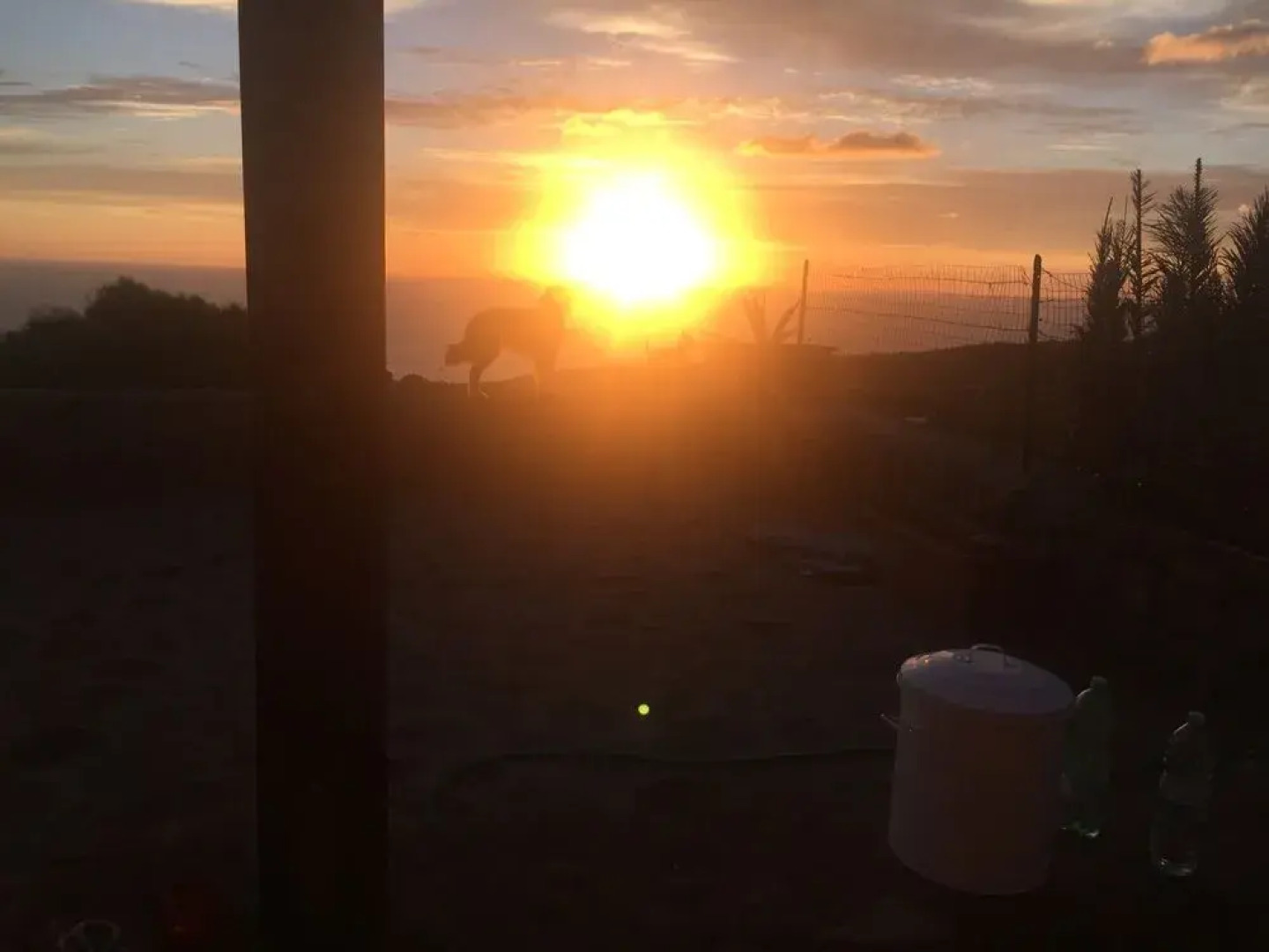 Tgi Dammusi Preziosi