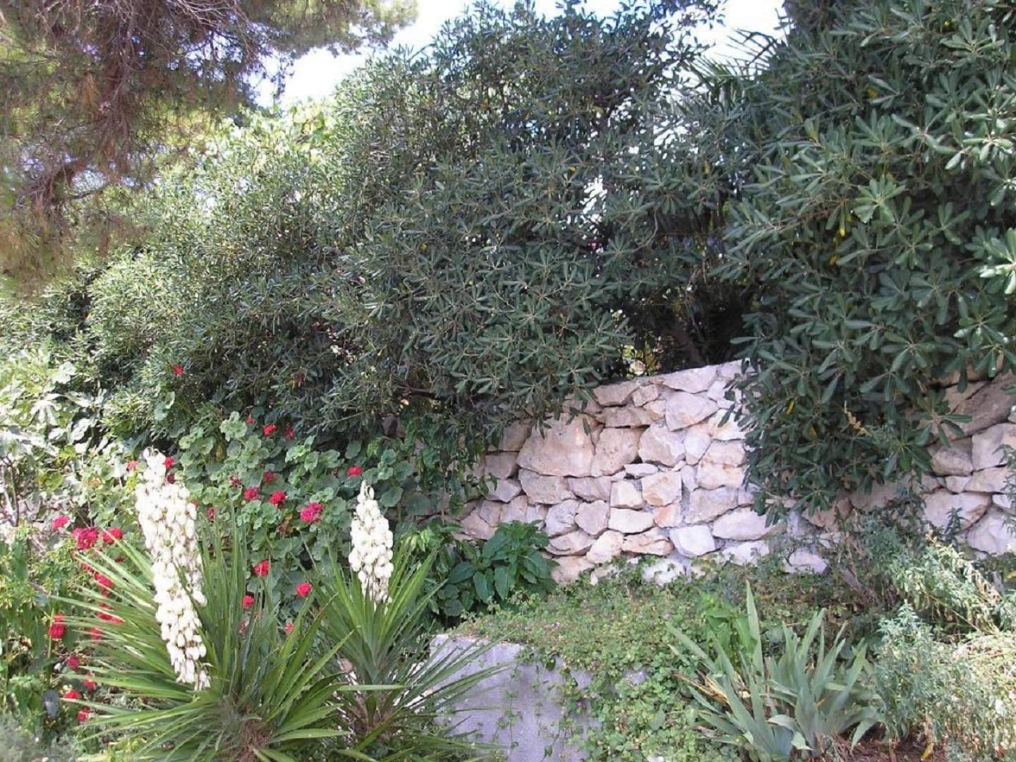 Apartment Zelko - garden and barbecue: A2 Hvar, Island Hvar