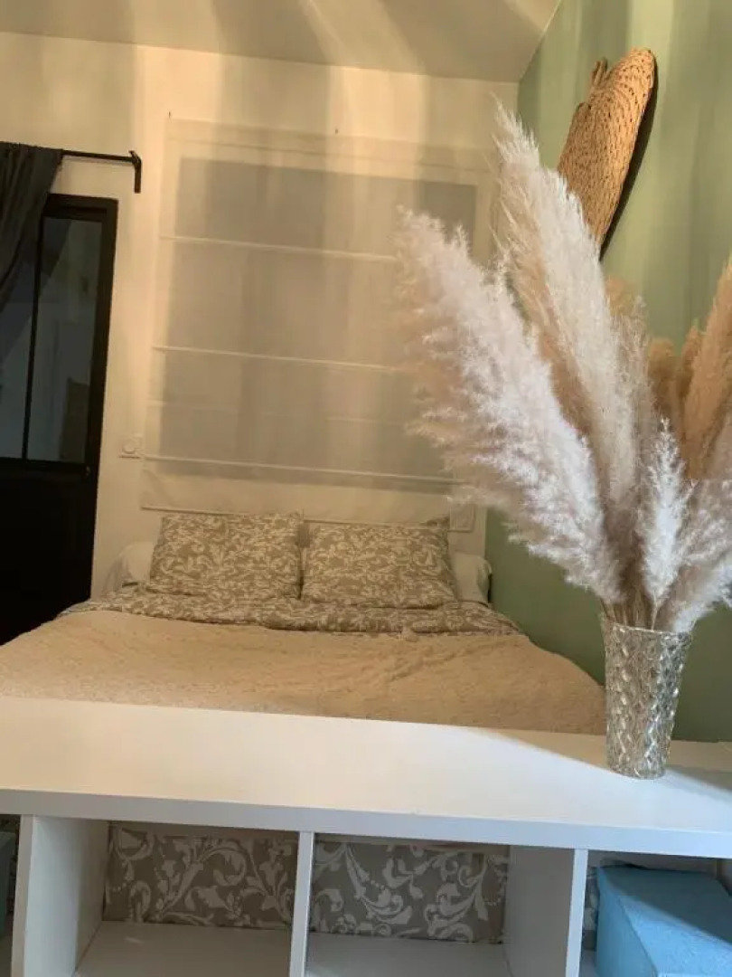 Studio Muret Atypique (Adults Only)