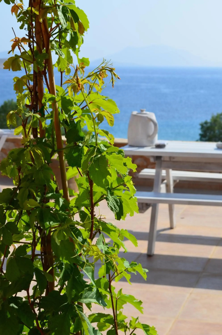 Villa Aristoteles