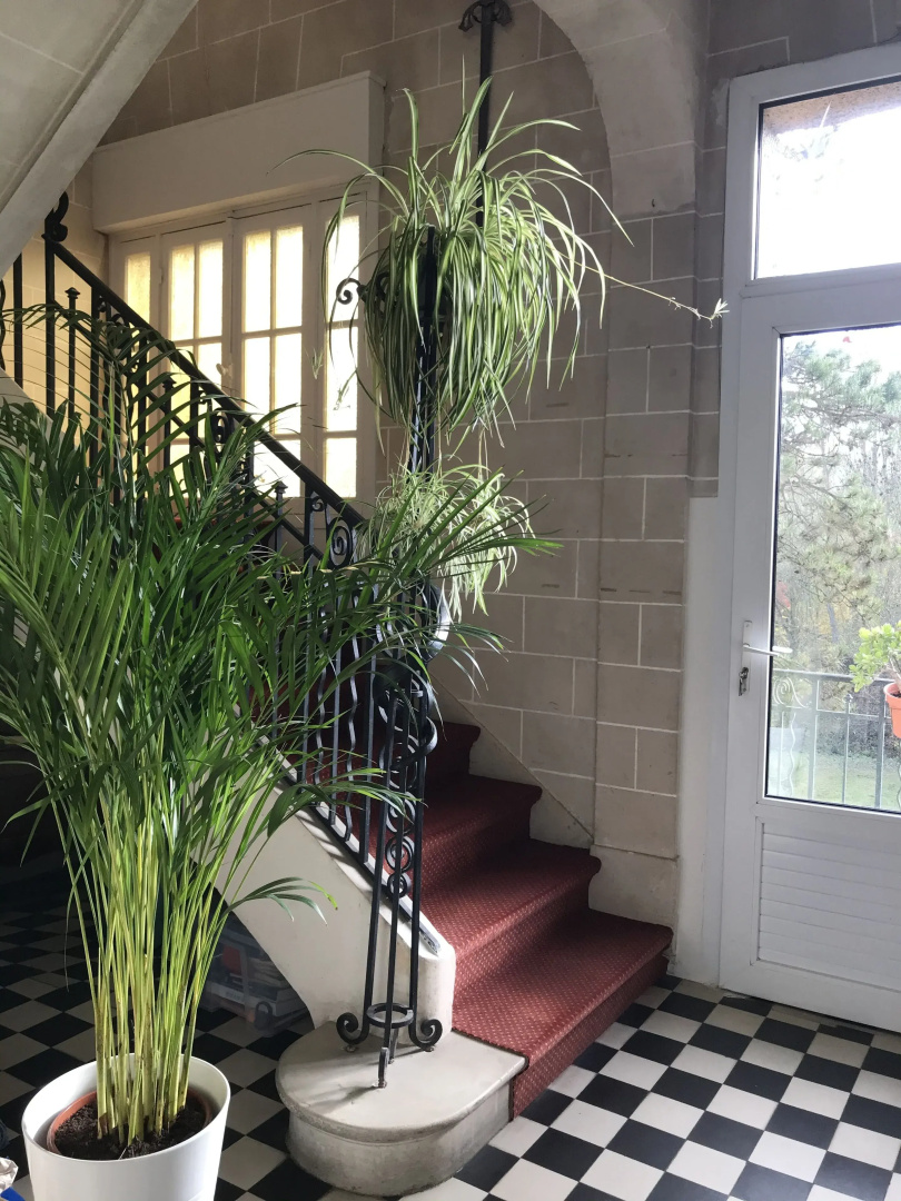 Green Home – La Roche-Guyon – Adults Only