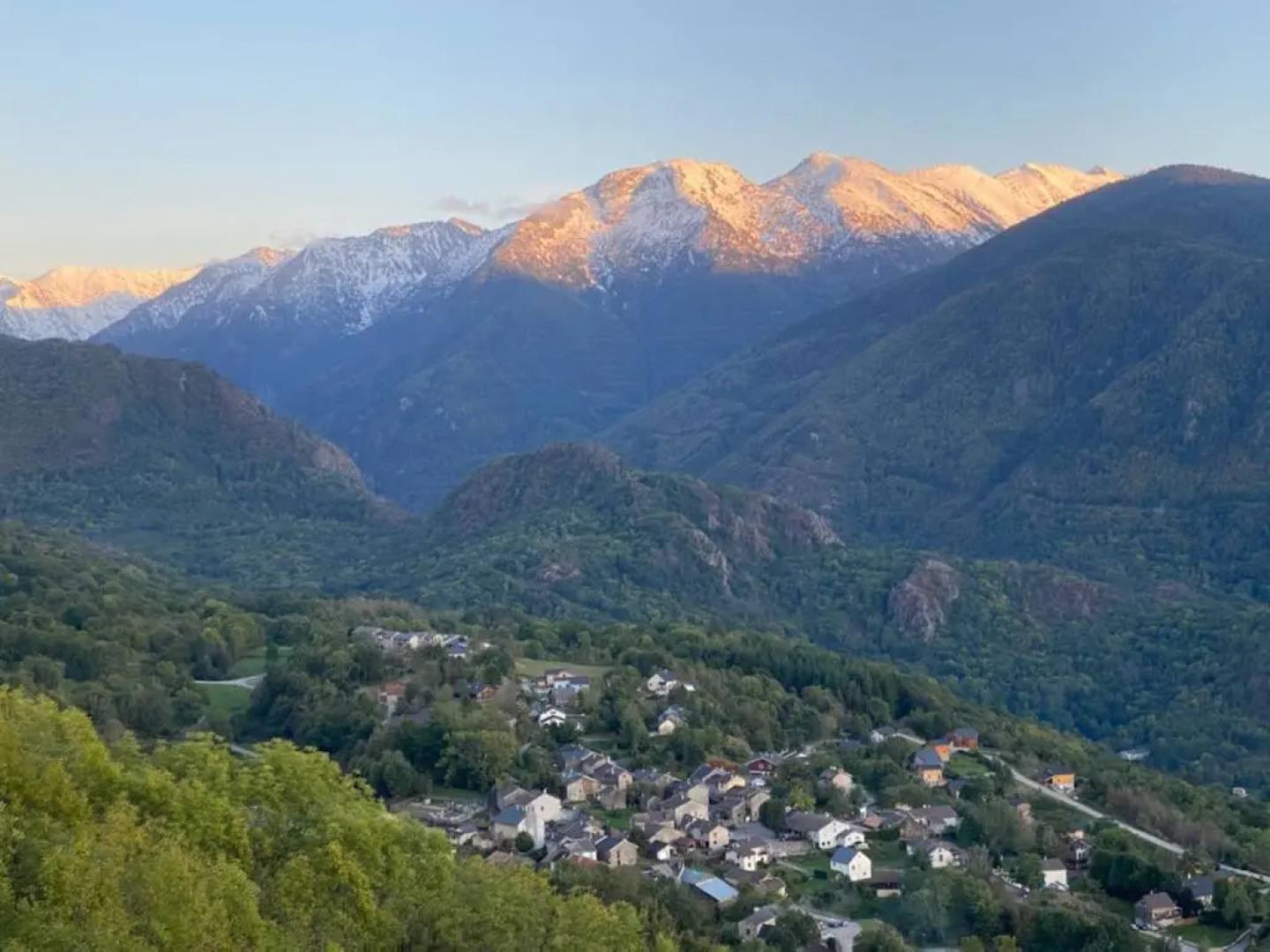 Les Feiches et Marguerites