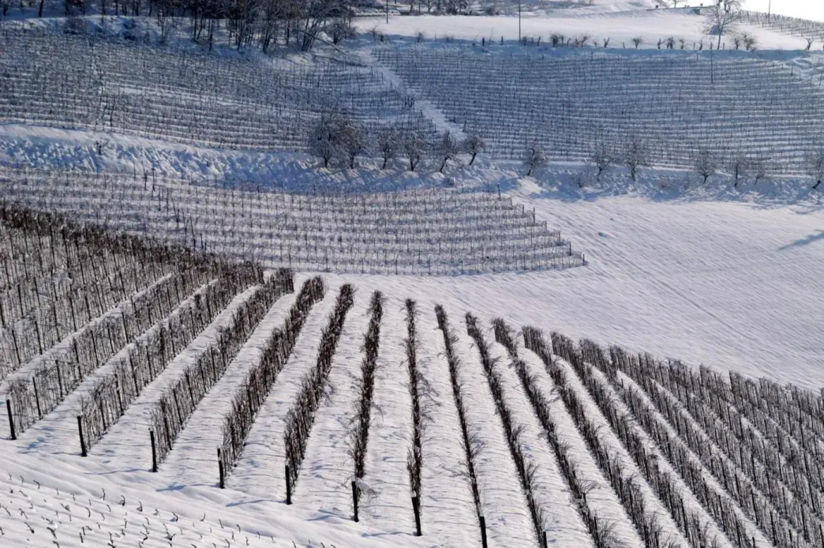 Cascina Arcangelo Raffaele