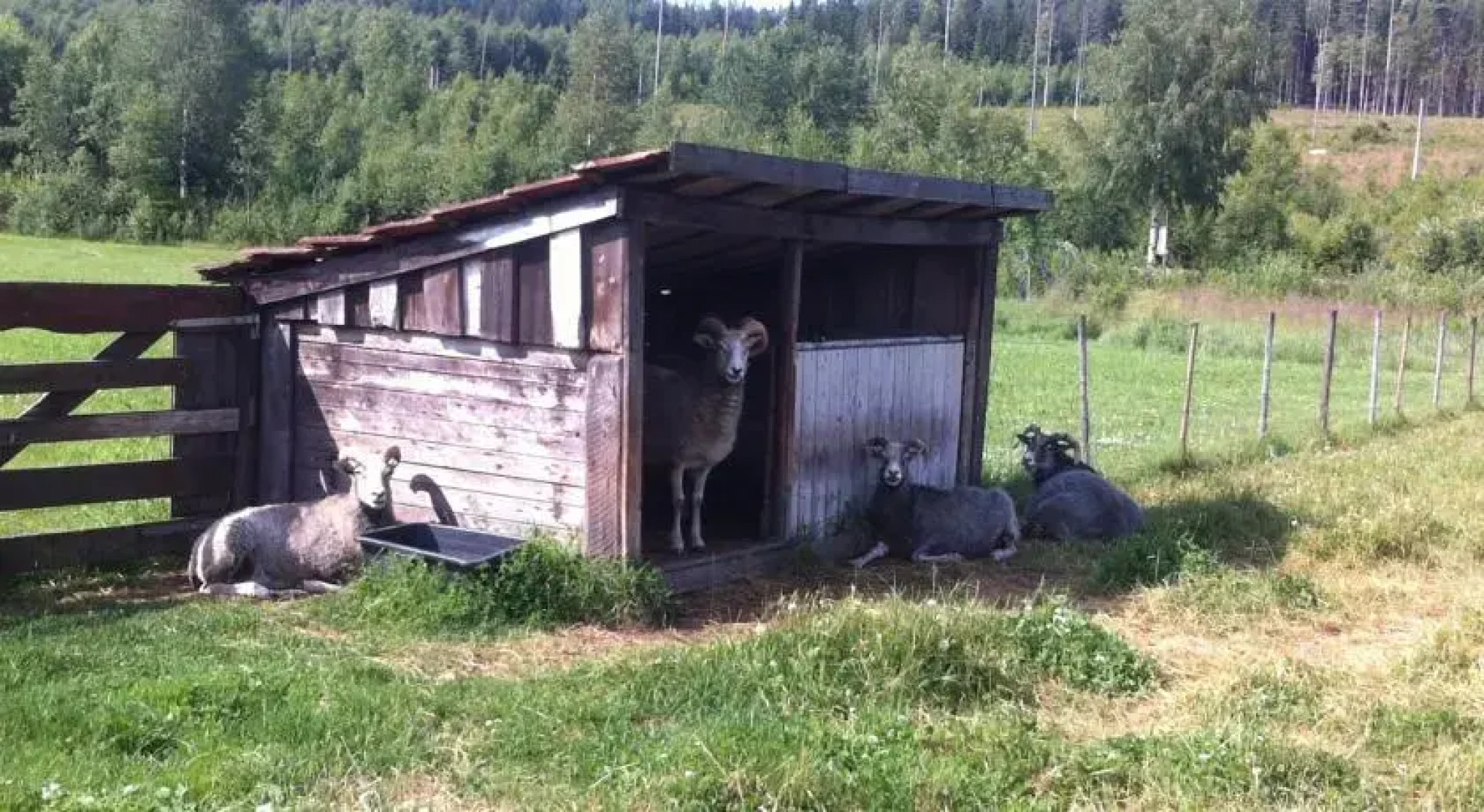 Hedegårds Pensionat