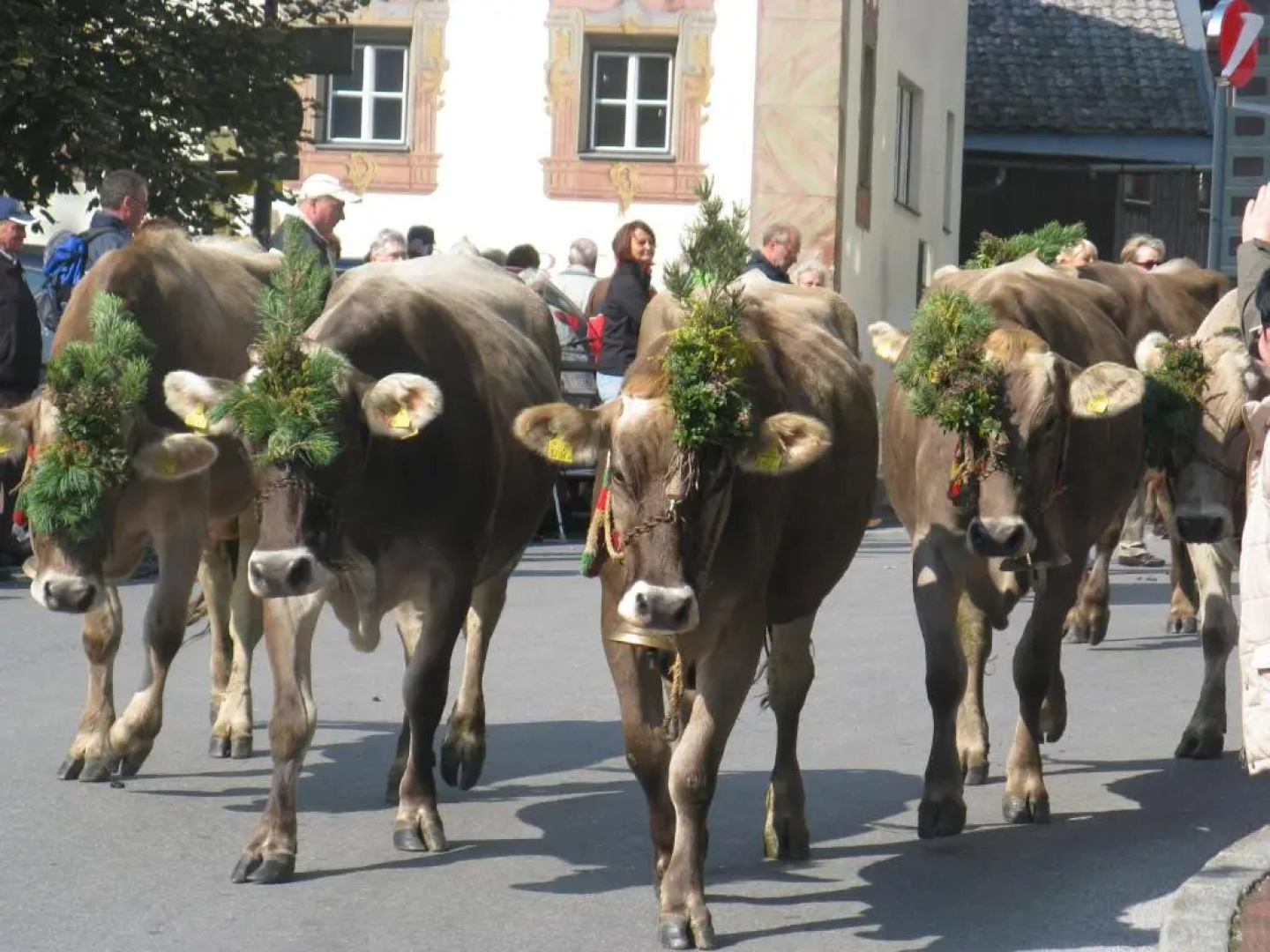 Pension Grubenhof