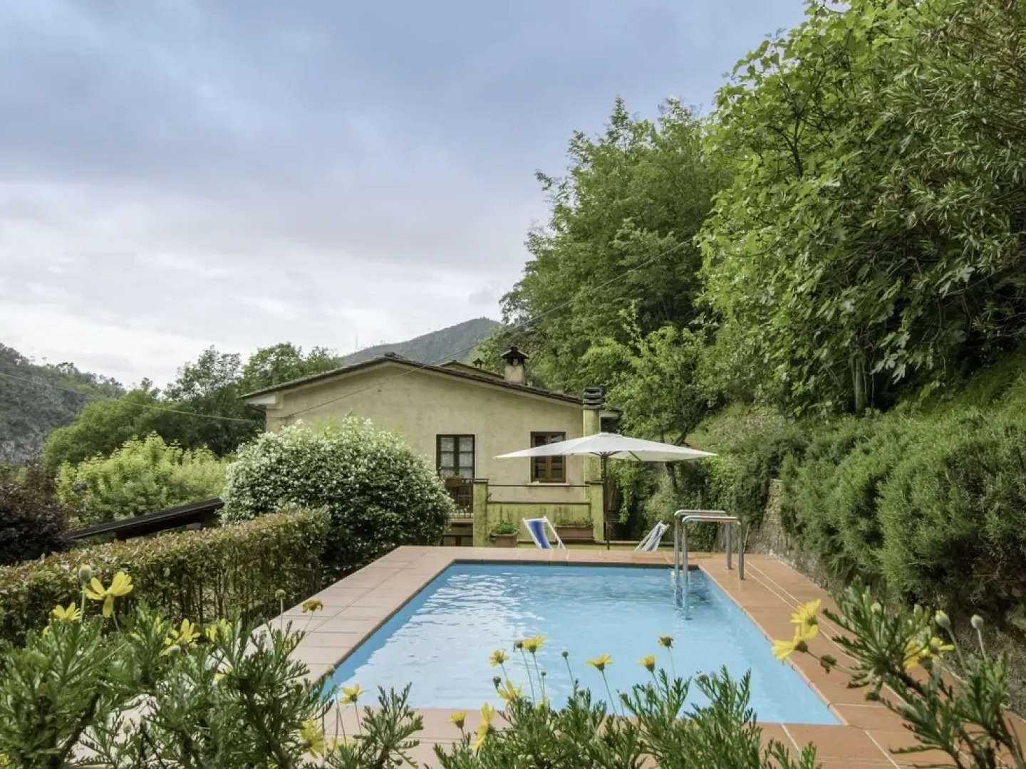 Laia Seravezza in Seravezza