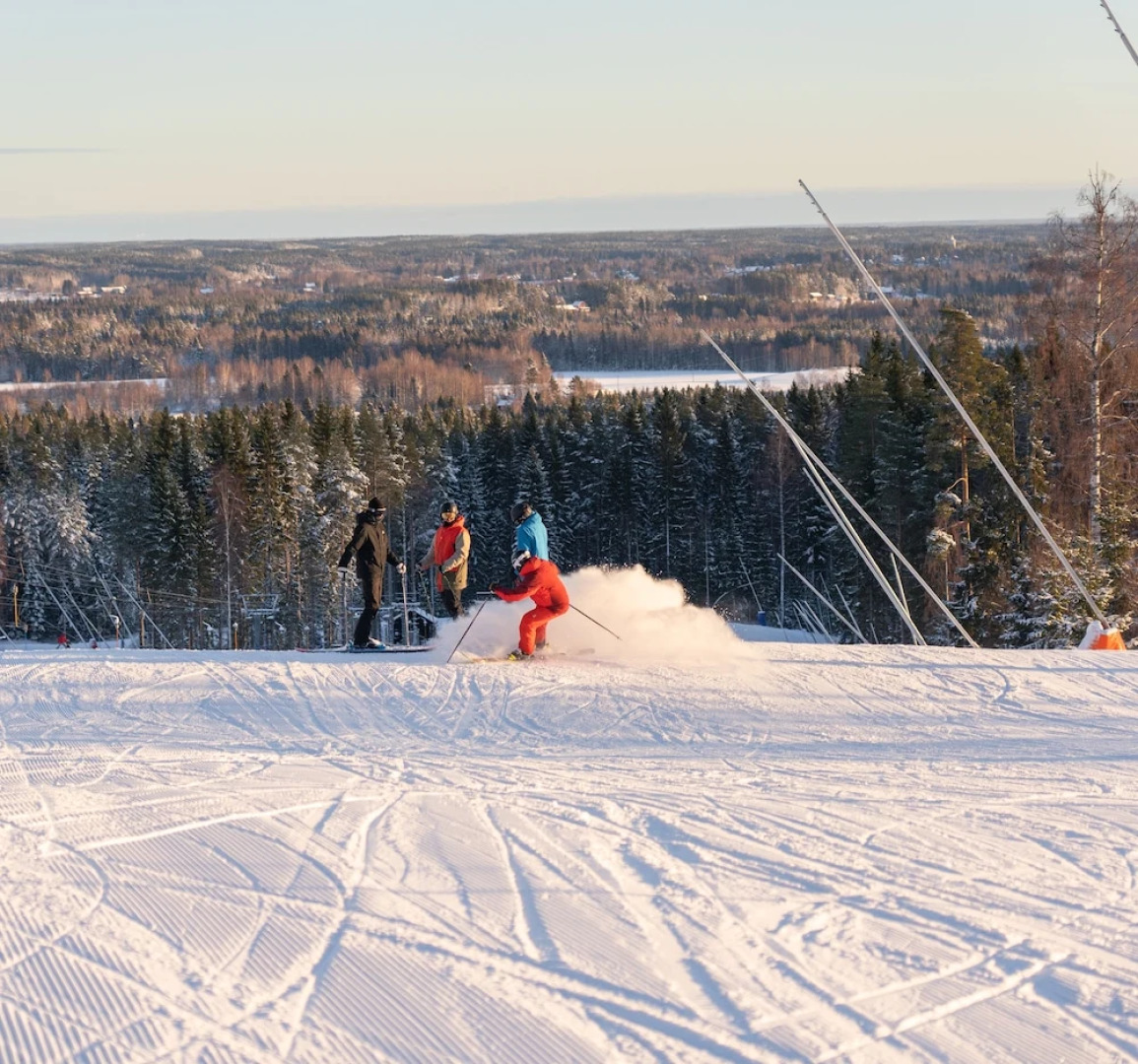 Högbo Pensionat Skommarsgården
