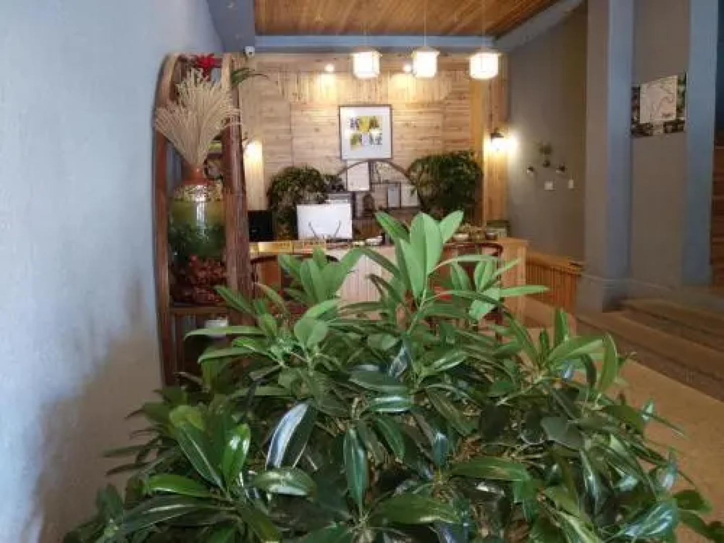 Moganshan Qingyanju Inn