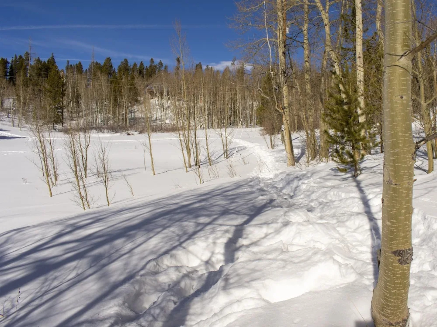 Fawn Drive 2 Bedroom Home by Redawning